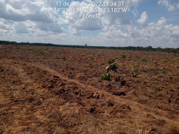 Imagem Fazenda à Venda, 3.600 m² em Nova Brasilândia Imagem Fazenda à Venda, 3.600 m² em Nova Brasilândia