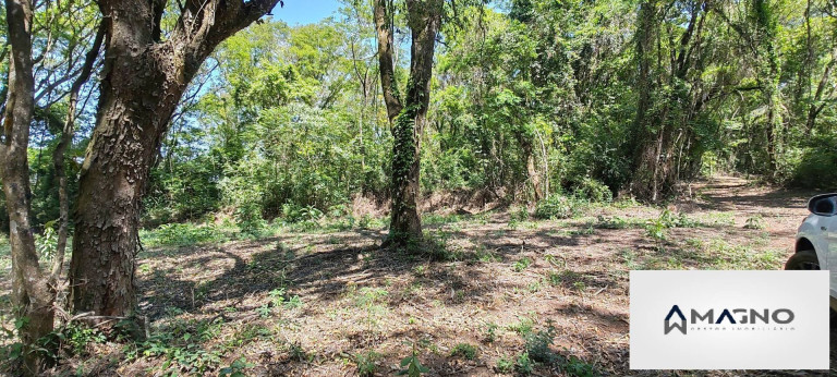 Imagem Chácara à Venda, 20 m² em Coqueiral - Cascavel