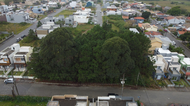 Imagem Terreno à Venda, 687 m² em Ambrósio - Garopaba