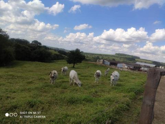 Imagem Chácara com 4 Quartos à Venda, 2.000 m² em Alambari