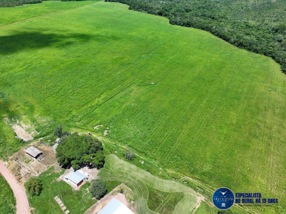 Imagem Fazenda à Venda, 1 m² em Zona Rural - Primavera Do Leste Imagem Fazenda à Venda, 1 m² em Zona Rural - Primavera Do Leste