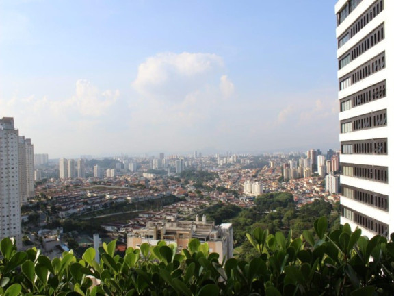 Imóvel com 3 Quartos à Venda, 256 m² em Morumbi - São Paulo