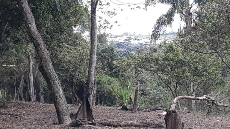 Imagem Imóvel à Venda, 500 m² em Vila Caputera - Mogi Das Cruzes