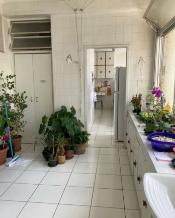 Imagem Imóvel com 2 Quartos à Venda, 275 m² em Vila Buarque - São Paulo Imagem Imóvel com 2 Quartos à Venda, 275 m² em Vila Buarque - São Paulo