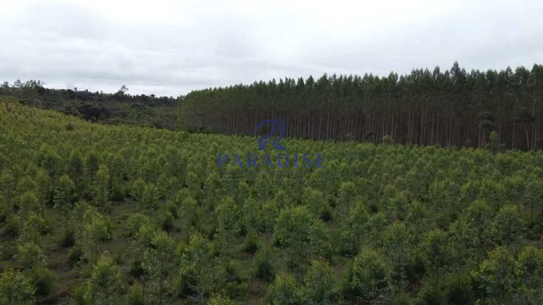 Imagem Fazenda à Venda, 1.960.000 m² em Zona Rural - Cardeal Da Silva Imagem Fazenda à Venda, 1.960.000 m² em Zona Rural - Cardeal Da Silva