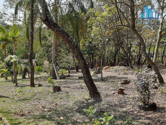 Imagem Chácara com 4 Quartos à Venda, 600 m² em Monterrey - Louveira