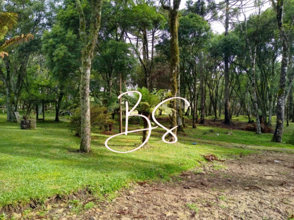 Imagem Imóvel com 2 Quartos à Venda, 30.000 m² em Centro - Gramado Imagem Imóvel com 2 Quartos à Venda, 30.000 m² em Centro - Gramado