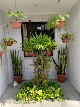 Imagem Casa com 3 Quartos à Venda, 78 m² em Cordeiro - Recife
