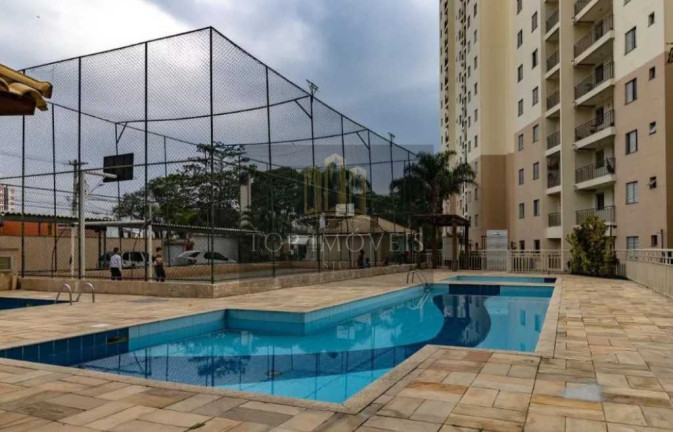 Imagem Apartamento com 3 Quartos para Alugar, 68 m² em Jardim Augusta - São José Dos Campos Imagem Apartamento com 3 Quartos para Alugar, 68 m² em Jardim Augusta - São José Dos Campos