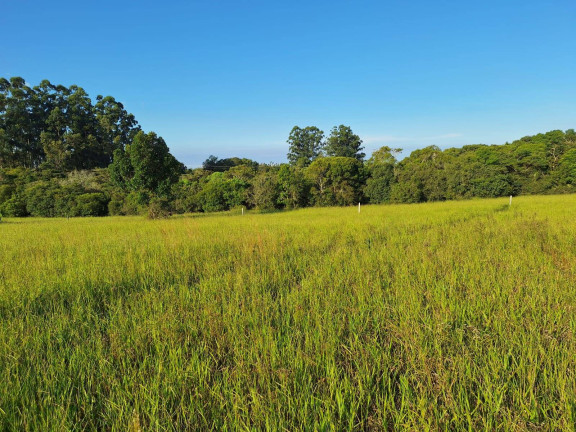 Imagem Terreno à Venda, 318 m² em águas Claras - Viamão