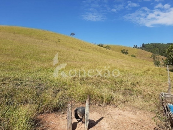 Imagem Chácara com 4 Quartos à Venda, 150 m² em Centro - Paraibuna Imagem Chácara com 4 Quartos à Venda, 150 m² em Centro - Paraibuna