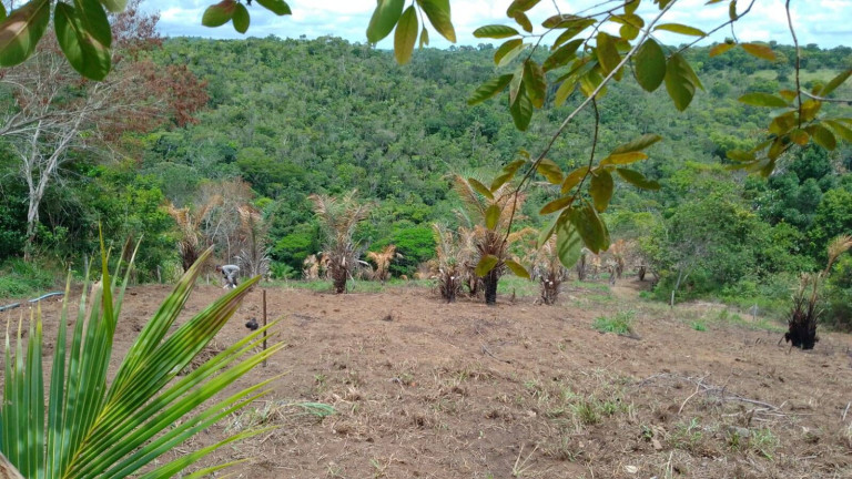 Imagem Chácara com 4 Quartos à Venda, 185.000 m² em Alphaville (abrantes) - Camaçari