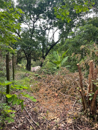 Imagem Imóvel à Venda, 2.000 m² em Guaratiba - Rio De Janeiro Imagem Imóvel à Venda, 2.000 m² em Guaratiba - Rio De Janeiro
