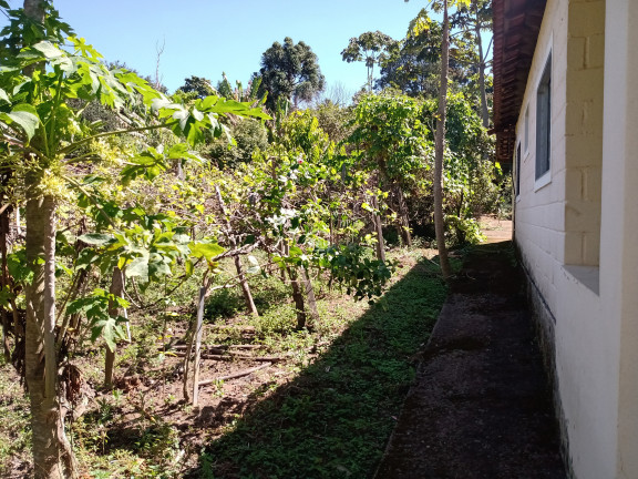 Imagem Imóvel com 2 Quartos à Venda, 2.100 m² em Bairro Roseira (rural) - Campestre Imagem Imóvel com 2 Quartos à Venda, 2.100 m² em Bairro Roseira (rural) - Campestre