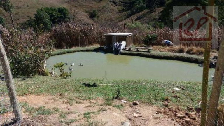 Imagem Fazenda à Venda, 479.160 m² em Catuçaba - São Luiz Do Paraitinga Imagem Fazenda à Venda, 479.160 m² em Catuçaba - São Luiz Do Paraitinga
