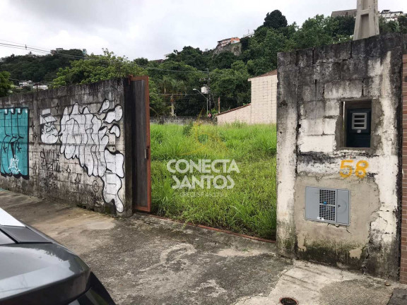 Imagem Terreno para Alugar, 1.008 m² em Jabaquara - Santos Imagem Terreno para Alugar, 1.008 m² em Jabaquara - Santos