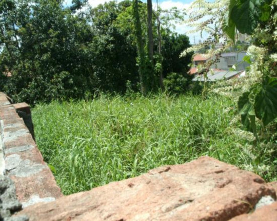 Imagem Terreno à Venda, 720 m² em Vila Granada - São Paulo Imagem Terreno à Venda, 720 m² em Vila Granada - São Paulo