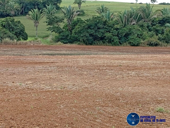 Imagem Fazenda à Venda, 33 m² em Zona Rural - Caiapônia Imagem Fazenda à Venda, 33 m² em Zona Rural - Caiapônia
