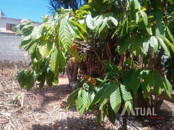 Imagem Terreno à Venda, 1.000 m² em Jardim Imperial - Atibaia
