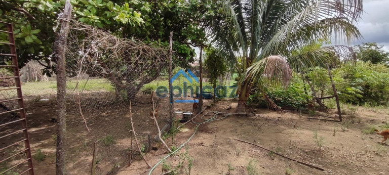 Imagem Chácara com 2 Quartos à Venda, 2.160 m² em Centro - Pilar Imagem Chácara com 2 Quartos à Venda, 2.160 m² em Centro - Pilar