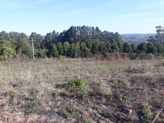 Imagem Terreno à Venda, 28.000 m² em Ortizes - Piedade Imagem Terreno à Venda, 28.000 m² em Ortizes - Piedade