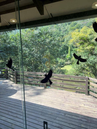 Imagem Chácara à Venda, em Nova Esperança - Balneário Camboriú Imagem Chácara à Venda, em Nova Esperança - Balneário Camboriú