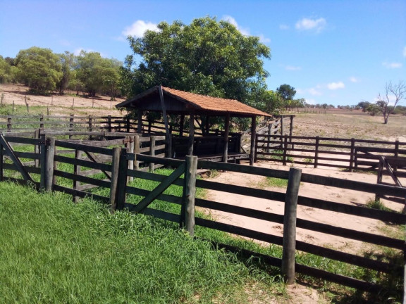 Imagem Fazenda à Venda, 32 m² em Rural - Bauru Imagem Fazenda à Venda, 32 m² em Rural - Bauru