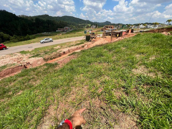 Imagem Terreno em Condomínio à Venda, 420 m² em Tamboré - Santana De Parnaíba Imagem Terreno em Condomínio à Venda, 420 m² em Tamboré - Santana De Parnaíba