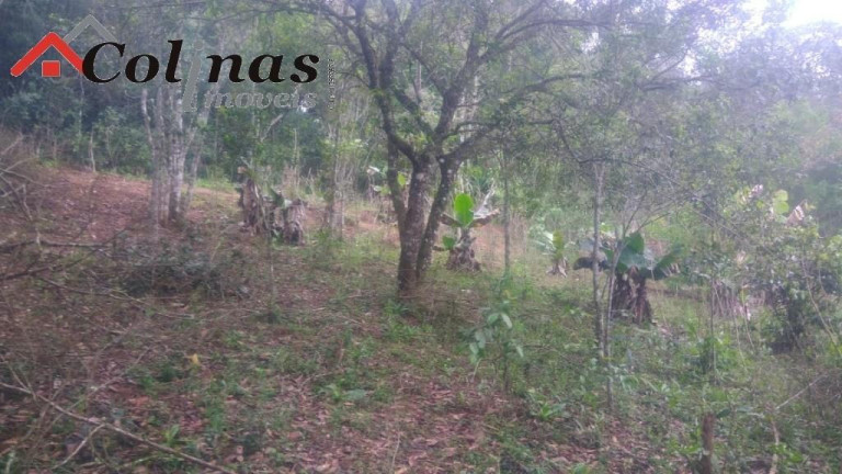 Imagem Imóvel com 3 Quartos à Venda, em Depois Do Centro - Ibiúna Imagem Imóvel com 3 Quartos à Venda, em Depois Do Centro - Ibiúna