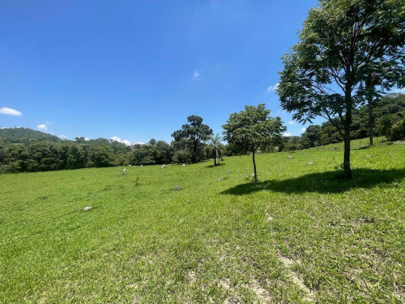 Terreno à Venda, 20.000 m² em Freitas - Itaúna
