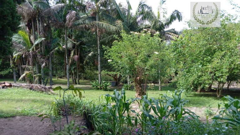 Imagem Casa com 3 Quartos à Venda, 5.000 m² em Vila Darcy Penteado (mailasqui) - São Roque