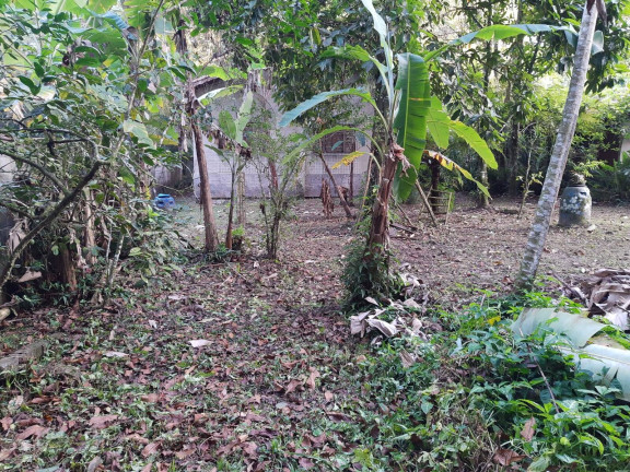 Imagem Casa com 2 Quartos à Venda, 500 m² em Boracéia - Bertioga Imagem Casa com 2 Quartos à Venda, 500 m² em Boracéia - Bertioga