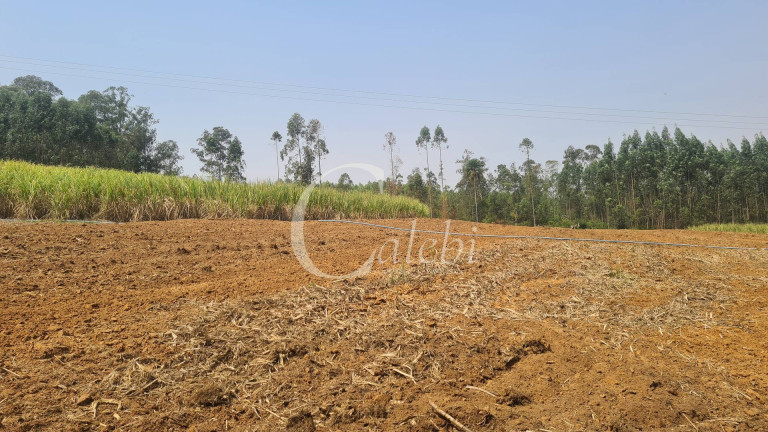Imagem Chácara com 3 Quartos à Venda, 10 m² em área Rural De Mogi Mirim - Moji Mirim Imagem Chácara com 3 Quartos à Venda, 10 m² em área Rural De Mogi Mirim - Moji Mirim