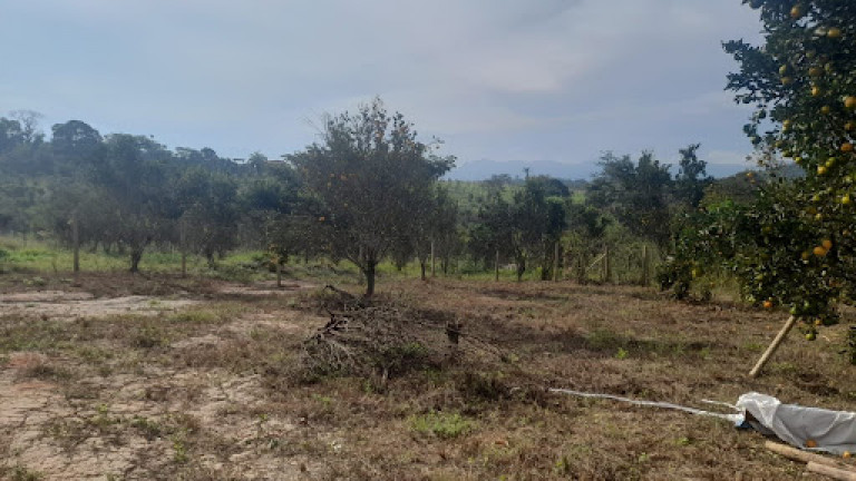 Imagem Terreno à Venda, 498 m² em Melo Franco - Brumadinho Imagem Terreno à Venda, 498 m² em Melo Franco - Brumadinho
