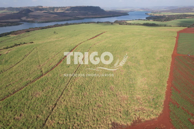 Imagem Fazenda à Venda, 56 m² em Zona Rural - Igarapava
