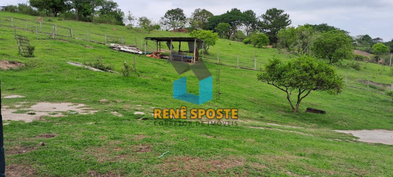 Imagem Chácara com 2 Quartos à Venda, 5.652 m² em Floresta Escura - São Pedro Imagem Chácara com 2 Quartos à Venda, 5.652 m² em Floresta Escura - São Pedro