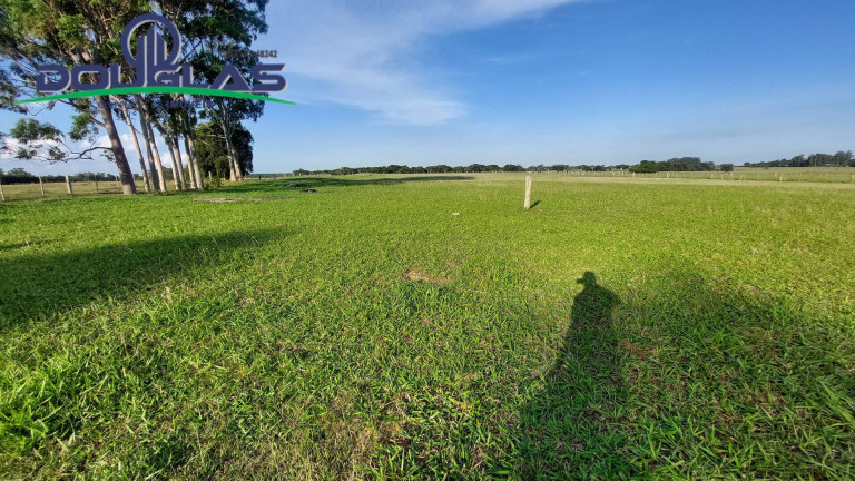 Imagem Chácara com 3 Quartos à Venda, 20.000 m² em águas Claras - Viamão