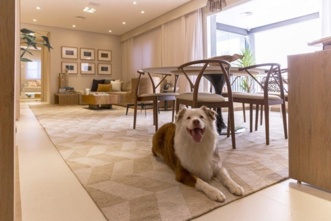 Imagem Imóvel com 3 Quartos à Venda, 87 m² em Morumbi - São Paulo Imagem Imóvel com 3 Quartos à Venda, 87 m² em Morumbi - São Paulo