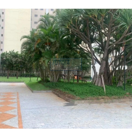 Imagem Apartamento com 3 Quartos à Venda, 100 m² em Aclimação - São Paulo Imagem Apartamento com 3 Quartos à Venda, 100 m² em Aclimação - São Paulo