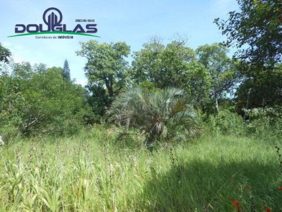 Imagem Imóvel Comercial à Venda, 13 m² em Viamão