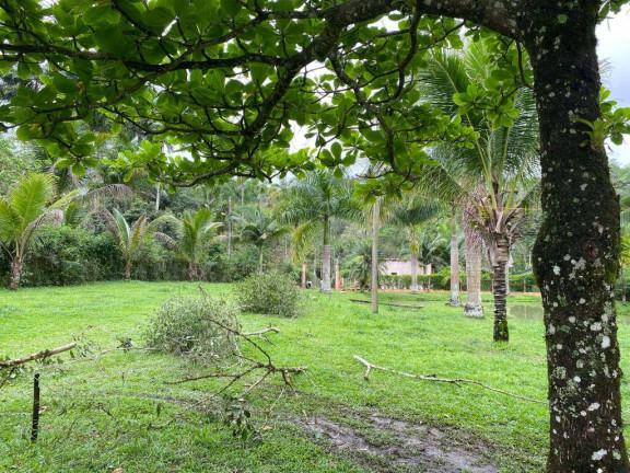 Imagem Chácara com 2 Quartos à Venda, 200 m² em Laranja Azeda - Itariri Imagem Chácara com 2 Quartos à Venda, 200 m² em Laranja Azeda - Itariri