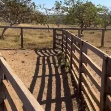 Imagem Fazenda à Venda, 29 m² em Setor Central - Ipameri Imagem Fazenda à Venda, 29 m² em Setor Central - Ipameri