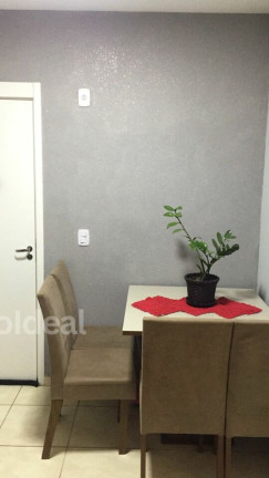 Imagem Apartamento com 2 Quartos à Venda, 47 m² em Jardim Terra Branca - Bauru Imagem Apartamento com 2 Quartos à Venda, 47 m² em Jardim Terra Branca - Bauru