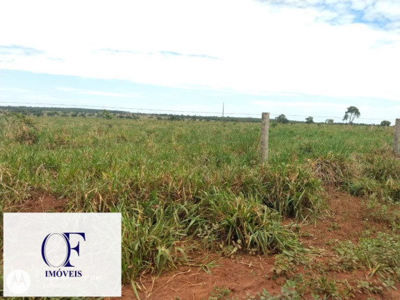 Imagem Fazenda à Venda, 3.097 m² em Rural - Chapadão Do Sul