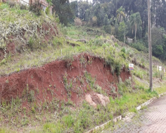 Imagem Imóvel à Venda, 455 m² em Piá - Nova Petrópolis Imagem Imóvel à Venda, 455 m² em Piá - Nova Petrópolis