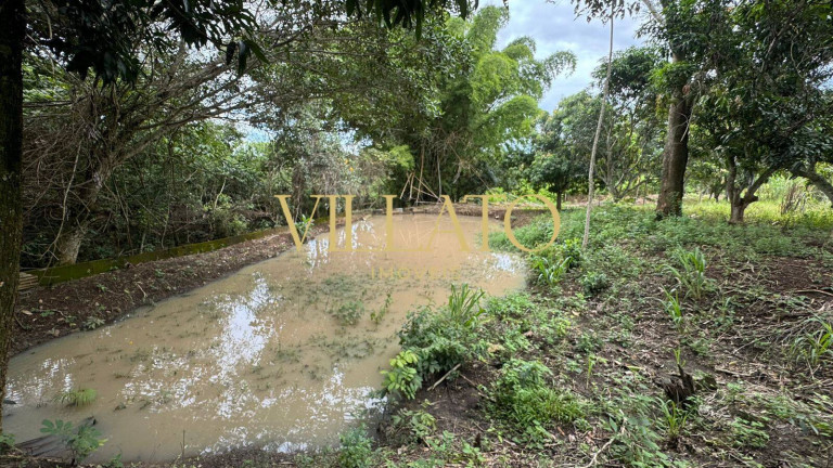 Imagem Chácara com 3 Quartos à Venda, 4 m² em Parque Solimões Ii - Goianira Imagem Chácara com 3 Quartos à Venda, 4 m² em Parque Solimões Ii - Goianira