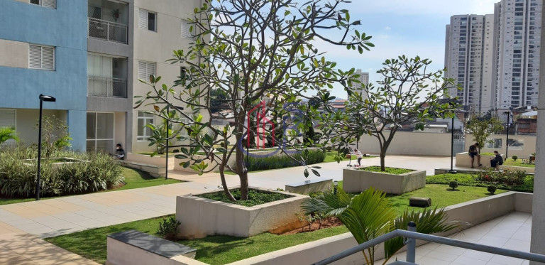 Imagem Apartamento com 2 Quartos à Venda, 48 m² em Jardim Flor Da Montanha - Guarulhos