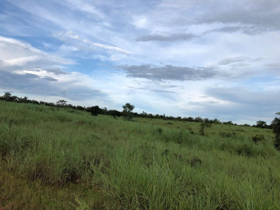 Imagem Fazenda à Venda,  em Rural - Figueirópolis