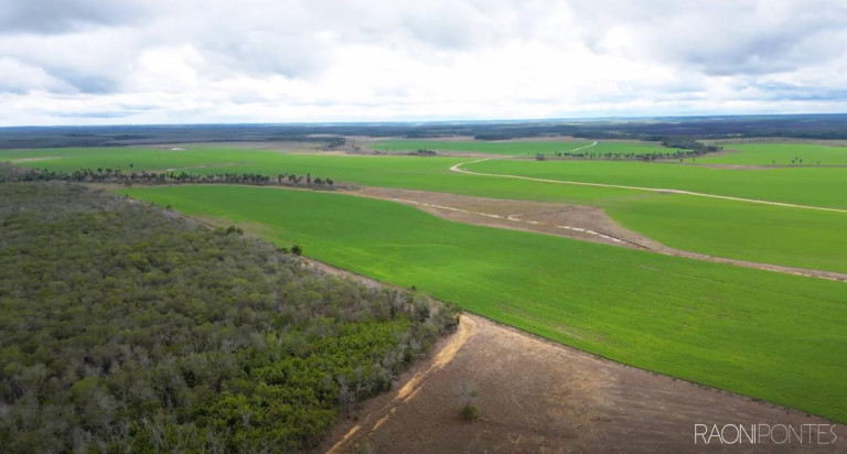 Imagem Fazenda à Venda, 5.800 m² em Zona Rural Imagem Fazenda à Venda, 5.800 m² em Zona Rural