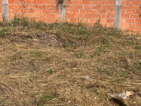 Imagem Terreno à Venda, 381 m² em Jardim Das Angélicas - Itupeva Imagem Terreno à Venda, 381 m² em Jardim Das Angélicas - Itupeva